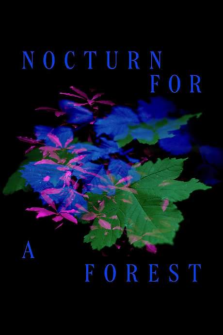 Nocturne for a Forest